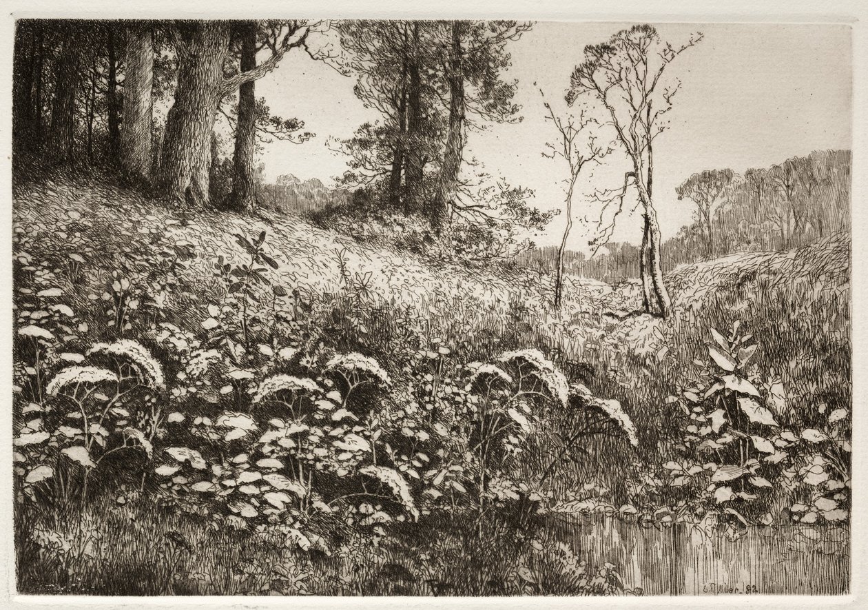 एक ग्रीष्मकालीन दोपहर, 1882। द्वारा एलिस एफ मिलर