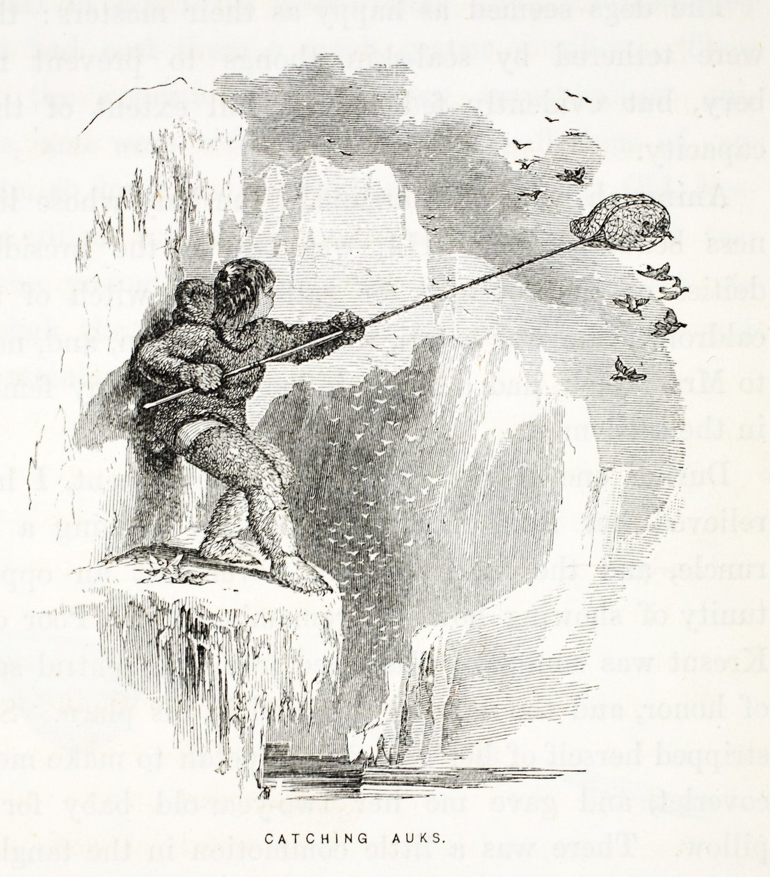 कैचिंग ऑक्स, सर जॉन फ्रेंकलिन की खोज में दूसरा ग्रिनल एक्सपीडिशन ..., 1856 से चित्रण द्वारा एलीशा केंट केन