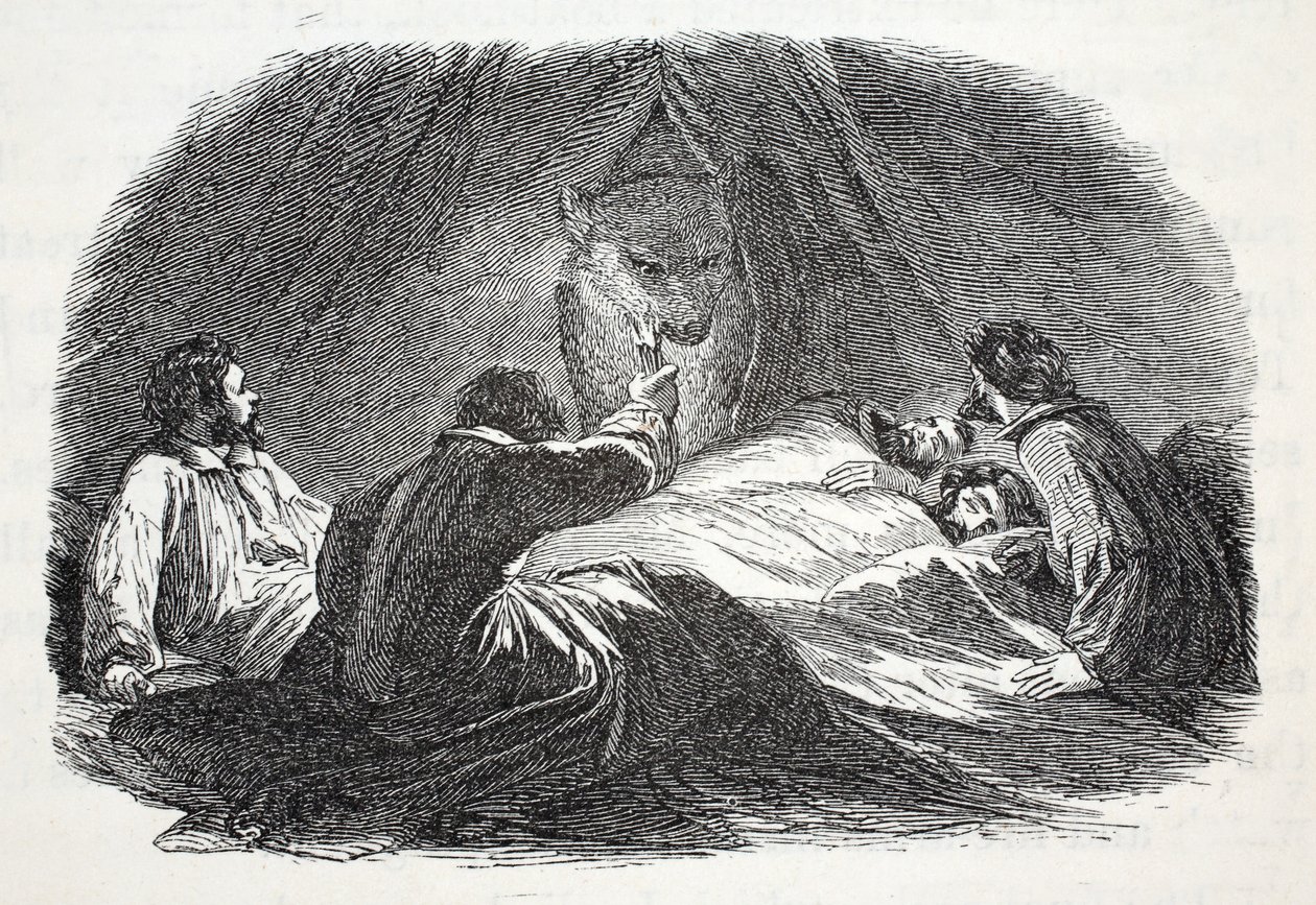 द भालू इन कैंप, 1856 में सर जॉन फ्रेंकलिन की खोज में &39;दूसरा ग्रिनल अभियान&39; से चित्रण द्वारा एलीशा केंट केन