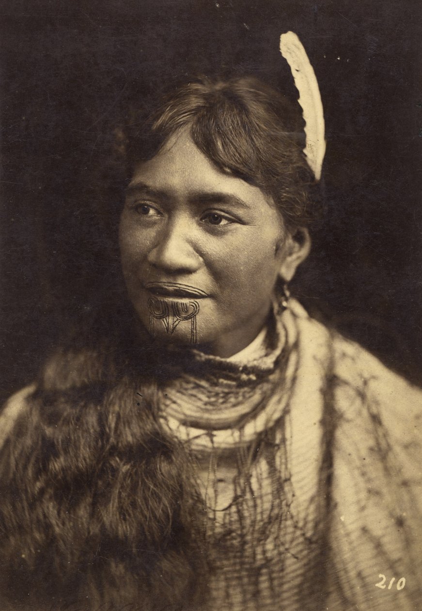 पोर्ट्रेट, c.1875 (एल्बम प्रिंट) द्वारा एलिजाबेथ पुलमैन
