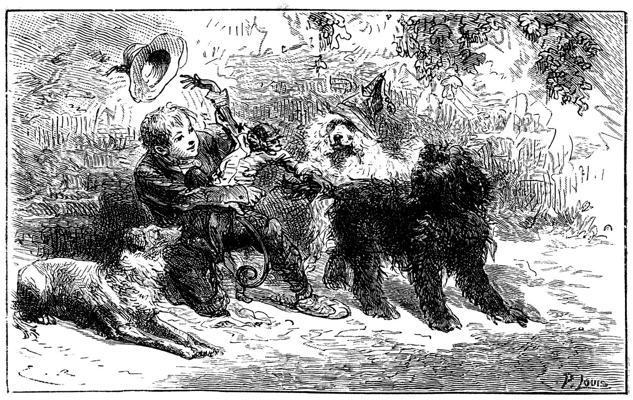 हेक्टर मालोट के उपन्यास "" सैन्स फैमिल "" के लिए एमिल बायर्ड द्वारा चित्रण: रेमी अपने दोस्तों के साथ खेलता है, महाशय विटालिस की मंडली के सीखे हुए जानवर, यात्रा कलाकार - जोली-कोयूर (सुंदर दिल), बंदर और तीन कुत्ते कैपी, ज़र्बिनो और डोलो द्वारा एमिल एंटोनी बेयर्ड