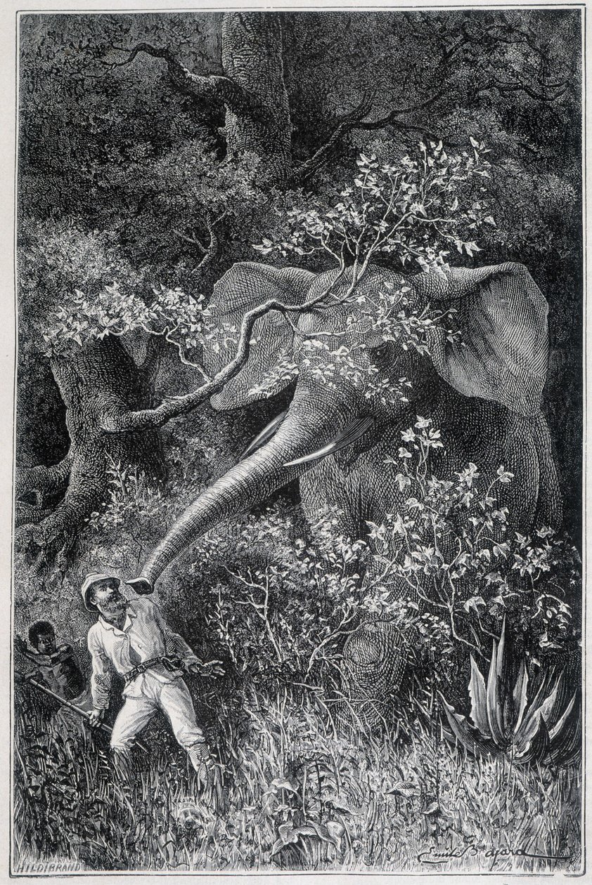 "ले टूर डू मोंडे" में एक हाथी ने लिविंगस्टोन को आश्चर्यचकित कर दिया द्वारा एमिल एंटोनी बेयर्ड