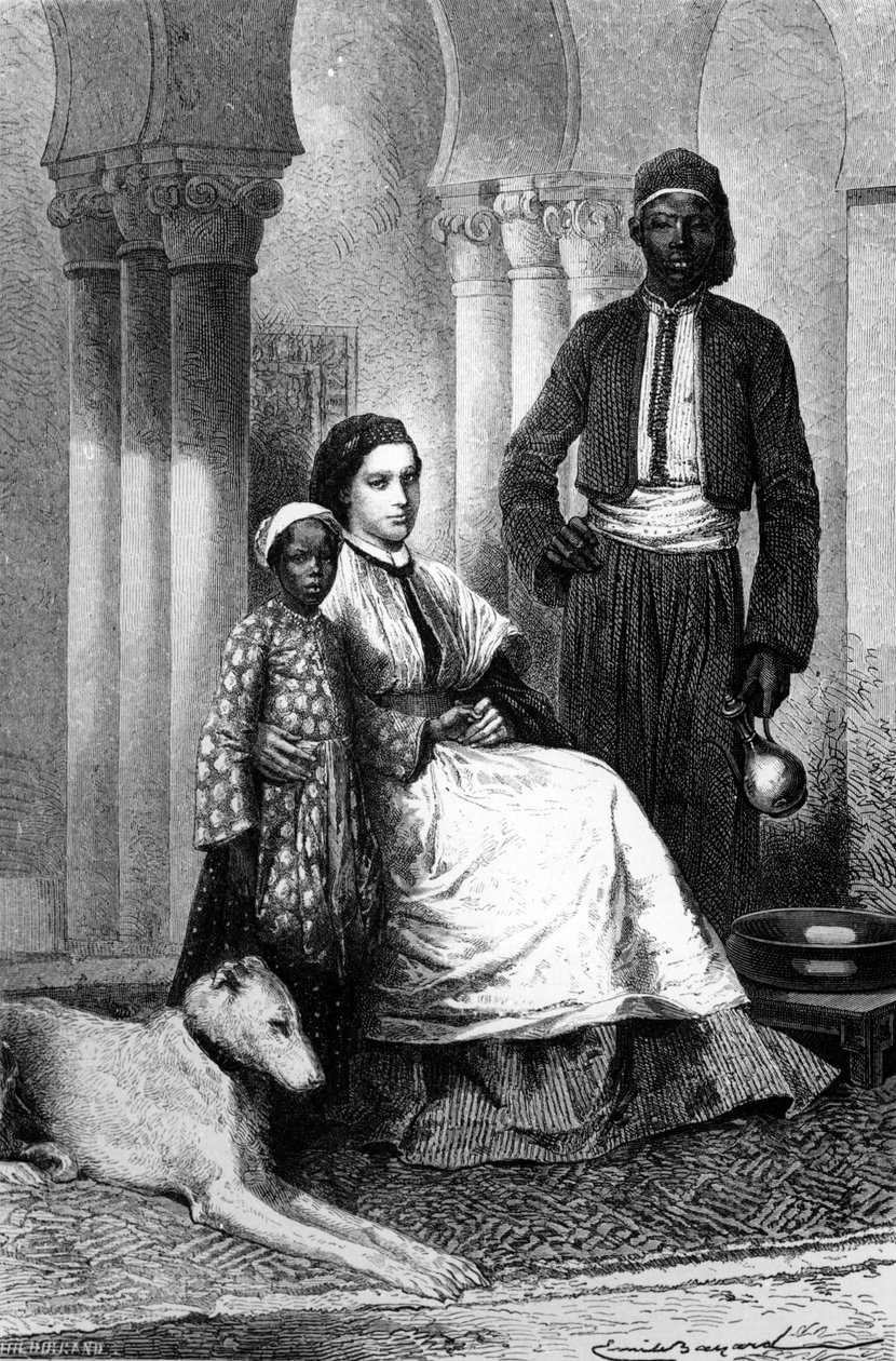 उनके काहिरा होम में मिस टिनने, &39;द टूर ऑफ द वर्ल्ड&39;, 1871 से चित्रण द्वारा एमिल एंटोनी बेयर्ड
