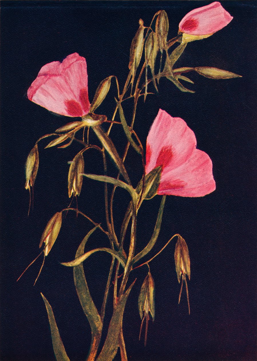 विदाई से वसंत, c1915, 1915 द्वारा एम्मा ग्राहम घड़ी