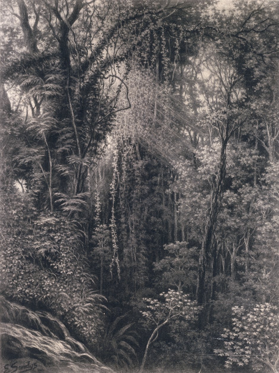 Apia, Upolu, पश्चिमी समोआ, 1877 के ऊपर कण्ठ का दृश्य (कागज पर लकड़ी का कोयला) द्वारा एम्मा सैंडिस