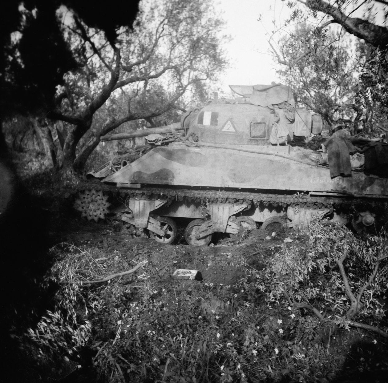 2 टीपी टैंक माइनफील्ड पर उड़ा, c.1944 द्वारा अंग्रेजी फोटोग्राफर