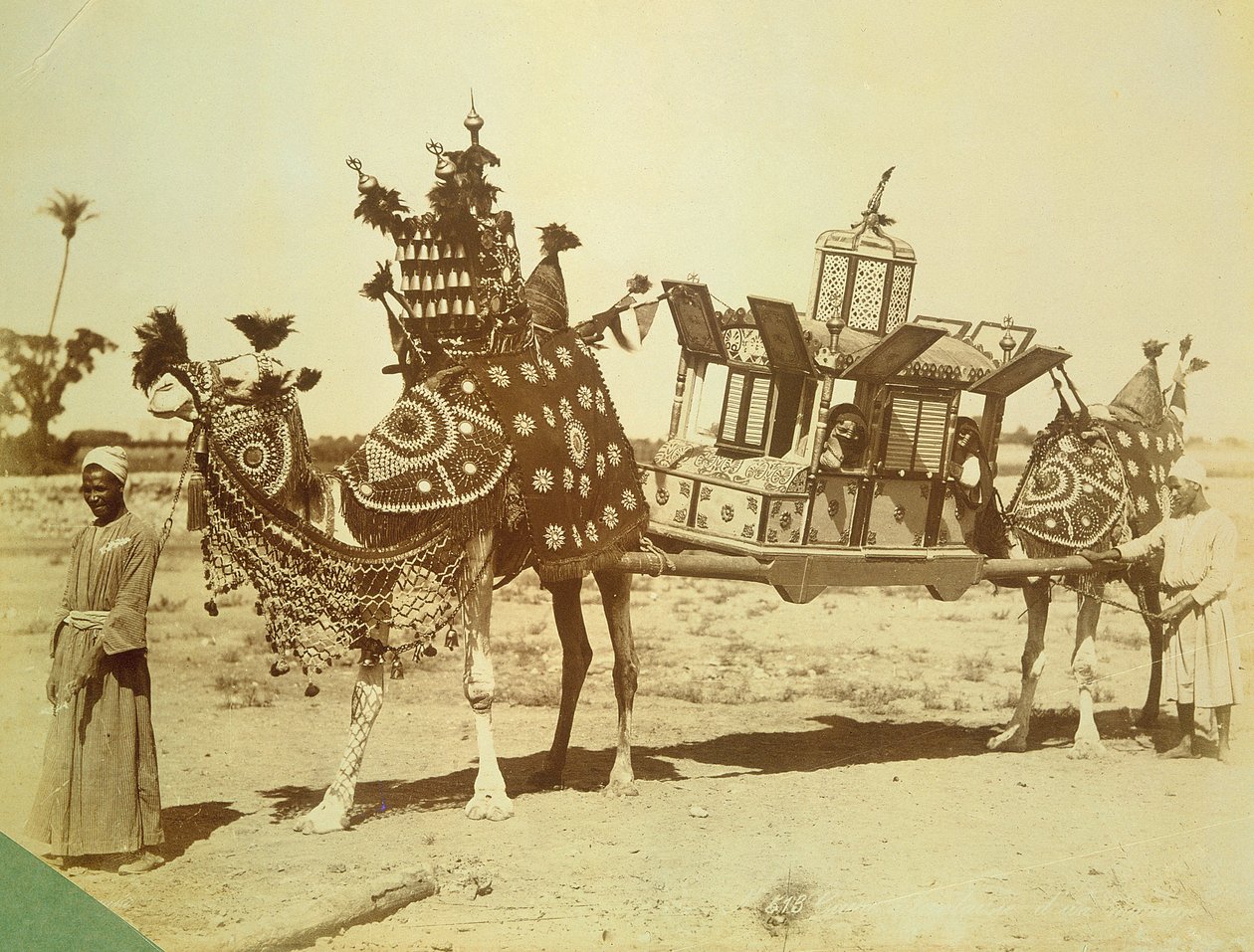 दुल्हन पालकी, काहिरा, मिस्र, c.1878 द्वारा अंग्रेजी फोटोग्राफर