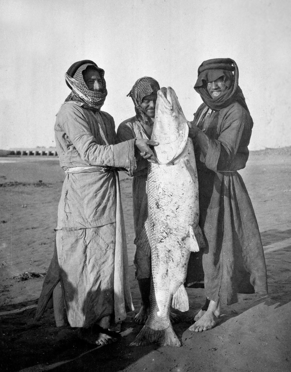 एक बड़ी मछली के साथ नागरिक आरा, 1914-18 द्वारा अंग्रेजी फोटोग्राफर