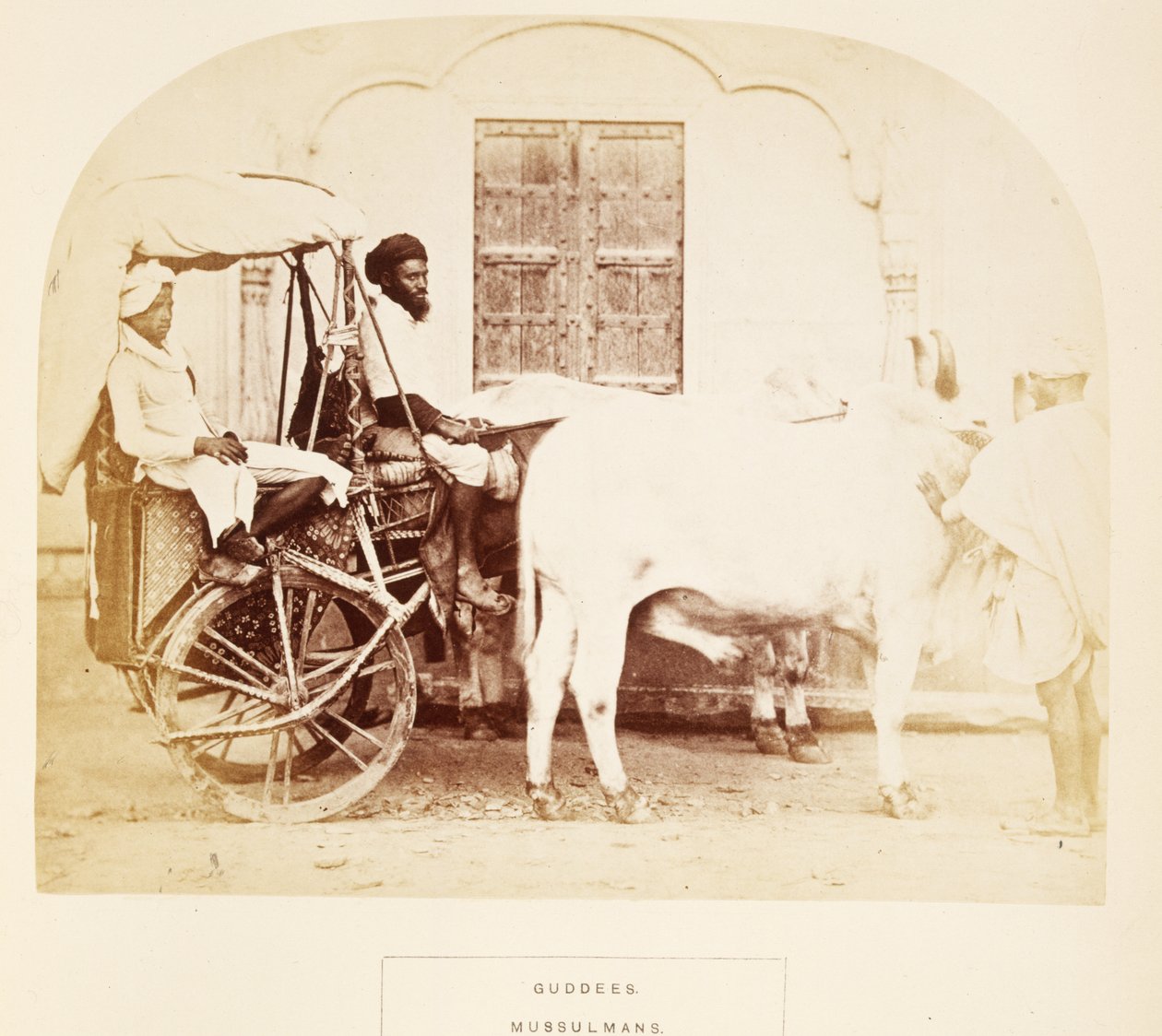 जे। फोर्ब्स वॉटसन द्वारा गुड्डे, मुसुलमान, राजपुताना, द पीपुल ऑफ इंडिया से, 1868 प्रकाशित (एल्बम प्रिंट) द्वारा अंग्रेजी फोटोग्राफर
