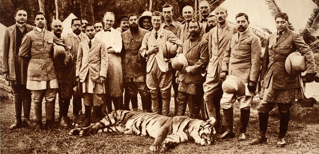 किंग एडवर्ड VIIIs पहला टाइगर, 1921 द्वारा अंग्रेजी फोटोग्राफर