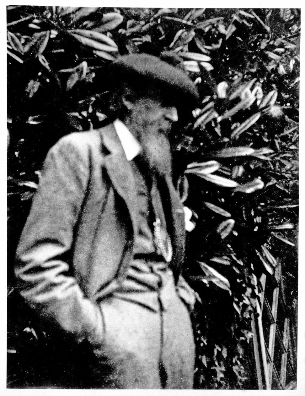 लेस्ली स्टीफन, 1900 द्वारा अंग्रेजी फोटोग्राफर