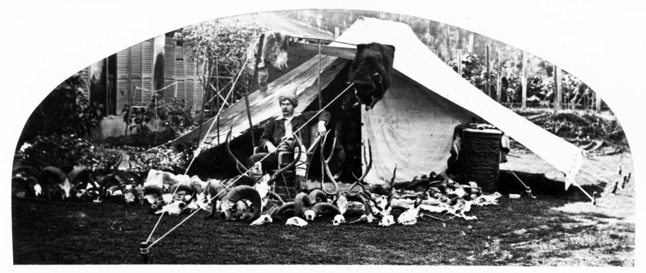 मेरी भारतीय ट्राफियां, c.1870s द्वारा अंग्रेजी फोटोग्राफर
