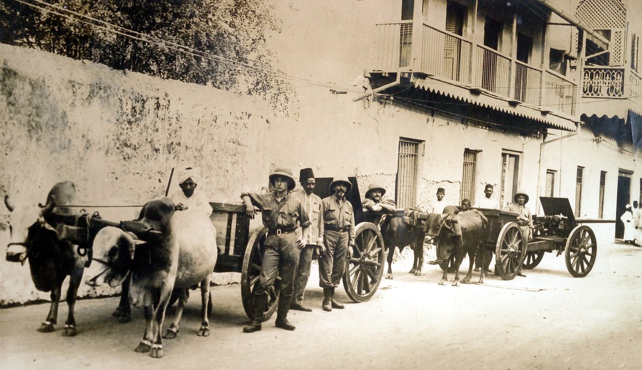 &39;साल्व्ड ब्रिटिश गन अभी भी उपयोगी है&39;, ज़ांज़ीबार, 1914 द्वारा अंग्रेजी फोटोग्राफर