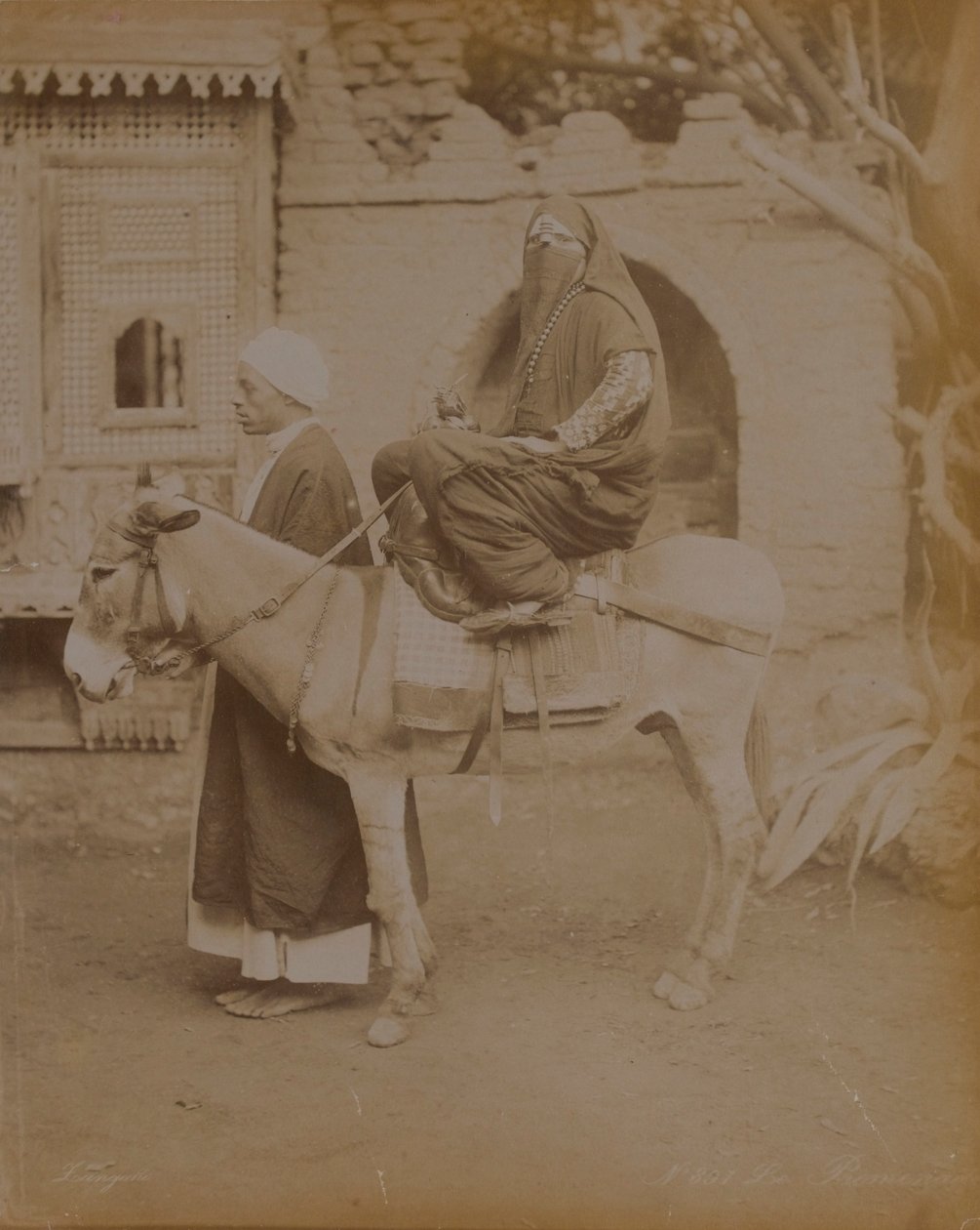 एक गधा, काहिरा, 1893 में महिला द्वारा अंग्रेजी फोटोग्राफर