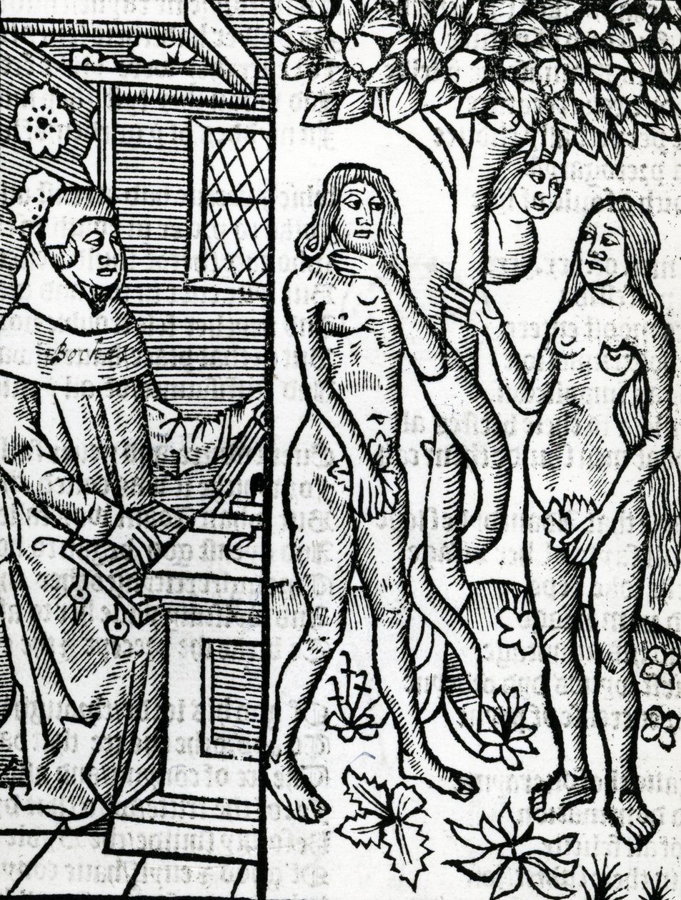 आदम और हव्वा, "Boccaccio के जॉन लाडगेट के अनुवाद के पुरुषों lllustrium में मामलों 1527 द्वारा अंग्रेजी स्कूल