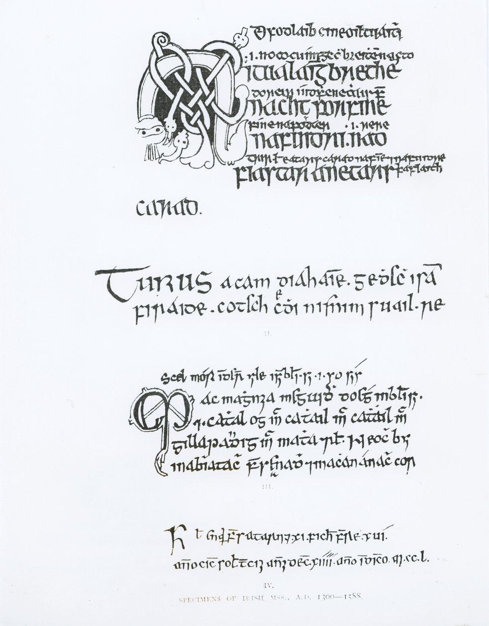 आयरिश पांडुलिपियों के नमूने, c.1300-1588 द्वारा अंग्रेजी स्कूल