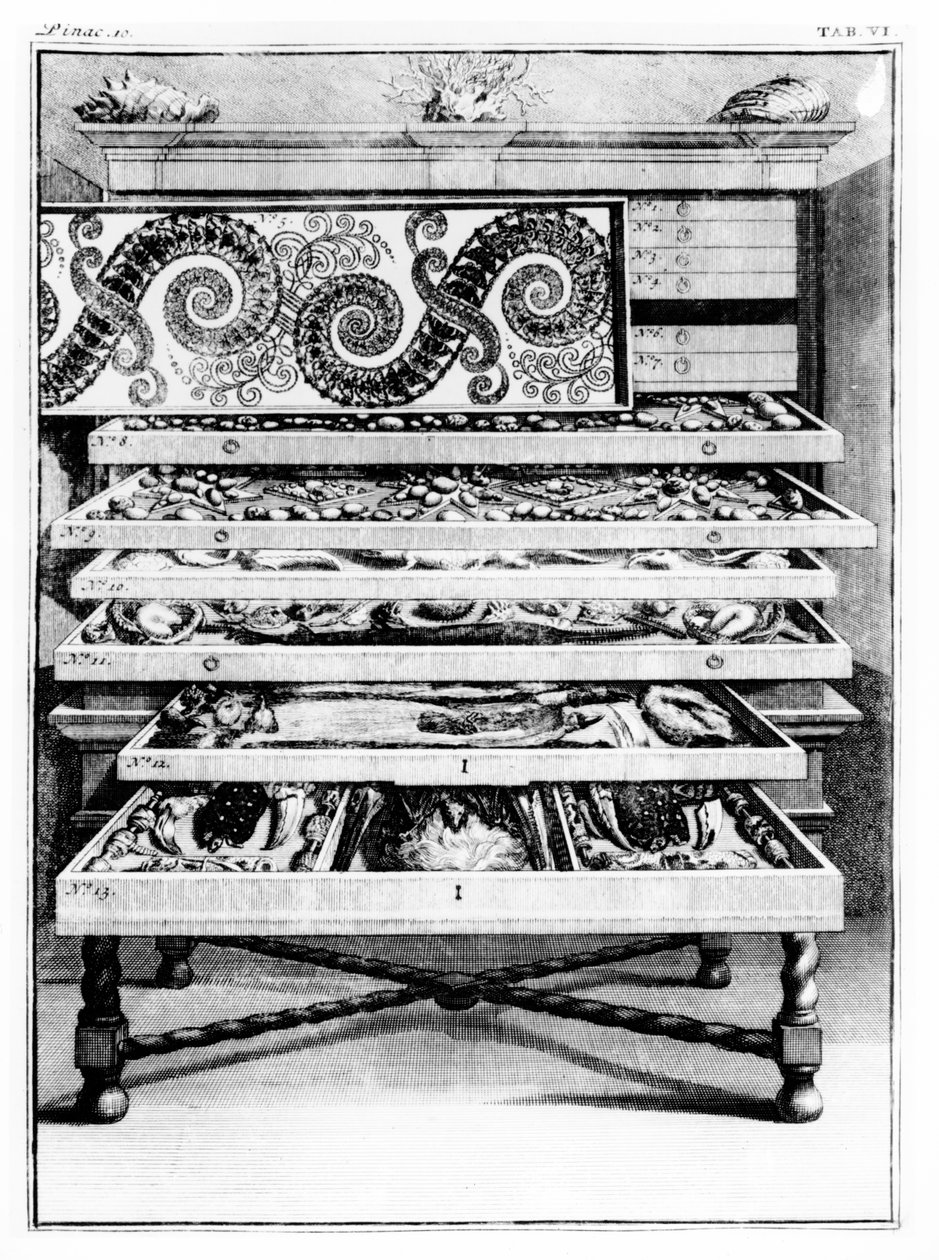 &39;सूची टेबल्स "लेविन सेंट विन्सेंट द्वारा (1658-1727) 1719 से टेबल 6 द्वारा अंग्रेजी स्कूल