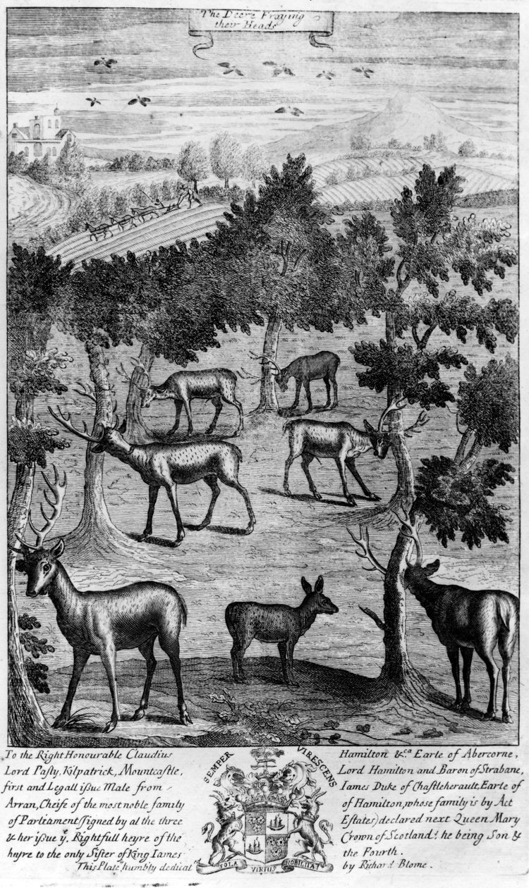 1686 में रिचर्ड ब्लोम द्वारा प्रकाशित &39;द जेंटलमैन रिक्रिएशन&39; से हिरण अपने सिर को काटते हुए द्वारा अंग्रेजी स्कूल