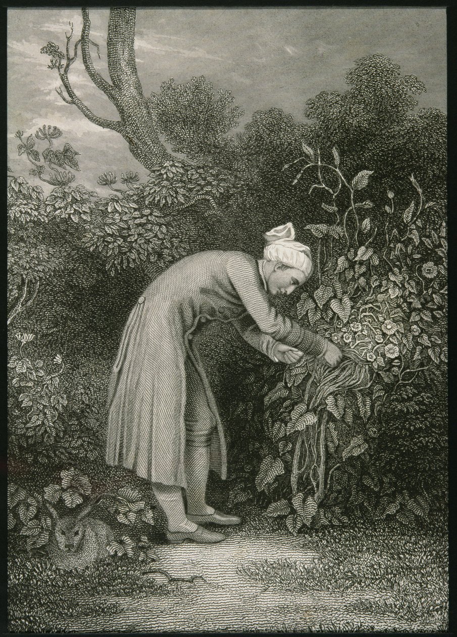 विलियम काउपर (1731-1800) द्वारा अंग्रेजी स्कूल