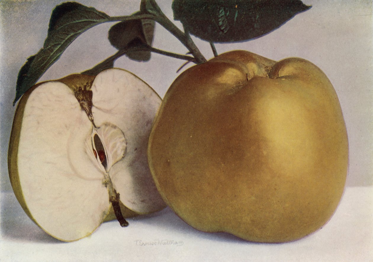  द्वारा अंग्रेजी फोटोग्राफर