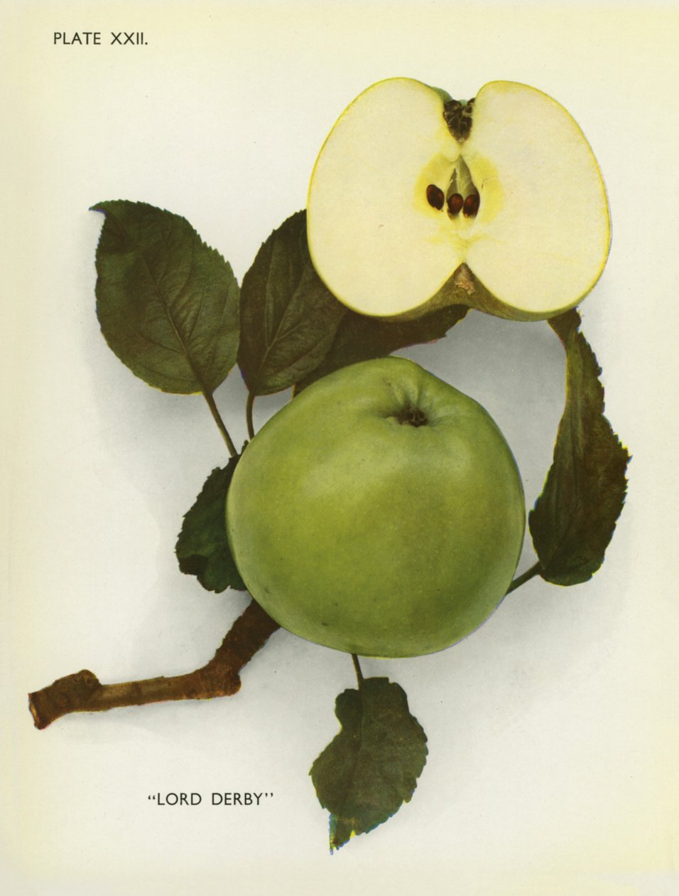  द्वारा अंग्रेजी फोटोग्राफर