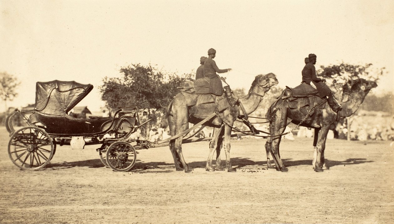 कैमल कैरिज, c.1860 (फोटोग्राव्योर) द्वारा अंग्रेजी फोटोग्राफर