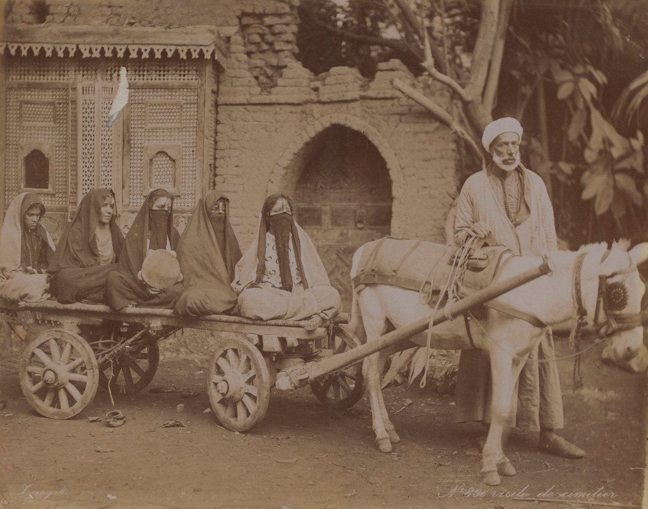 हॉर्स-ड्रोन कार्ट, काहिरा, 1893 द्वारा अंग्रेजी फोटोग्राफर