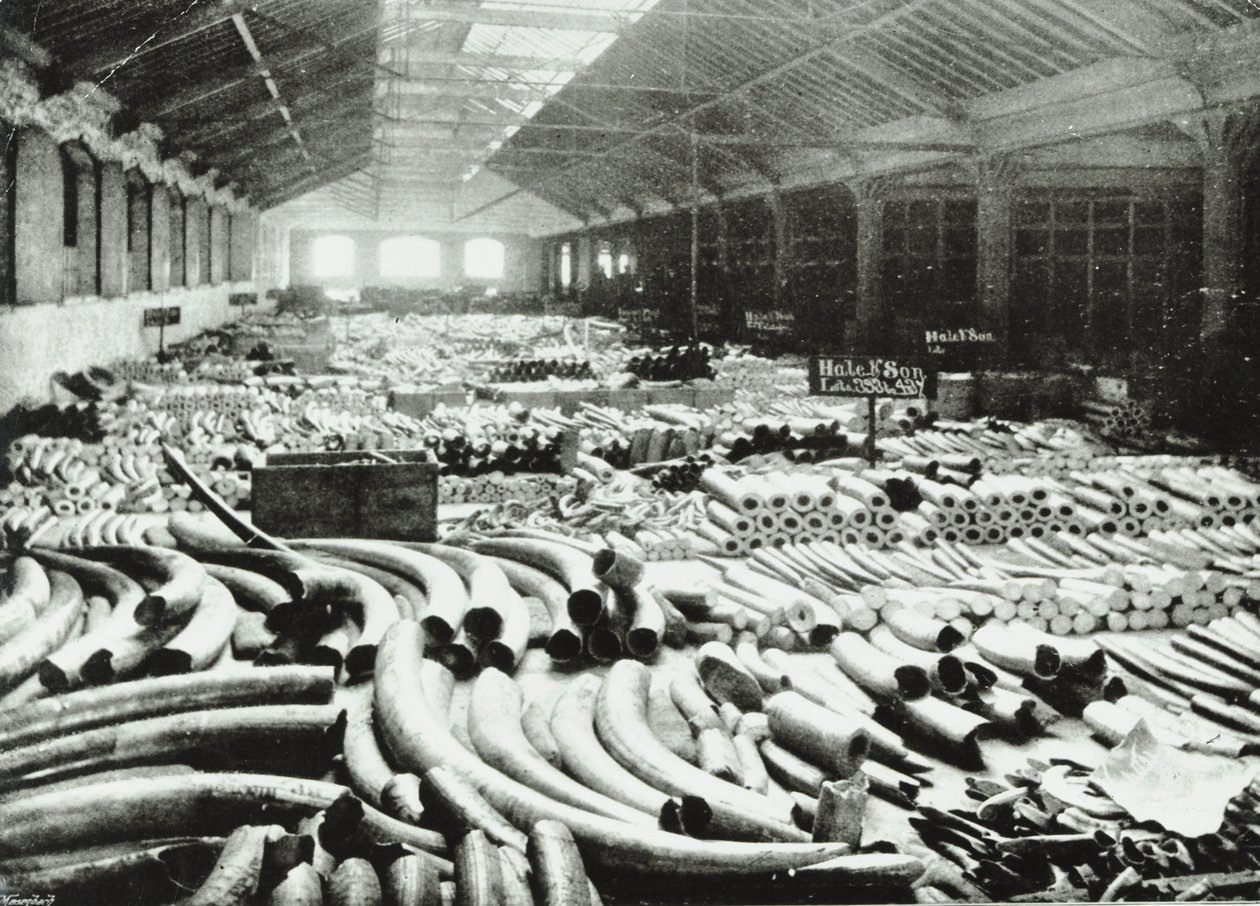 लंदन डॉक्स: हाथी दांत गोदाम, 1895 द्वारा अंग्रेजी फोटोग्राफर