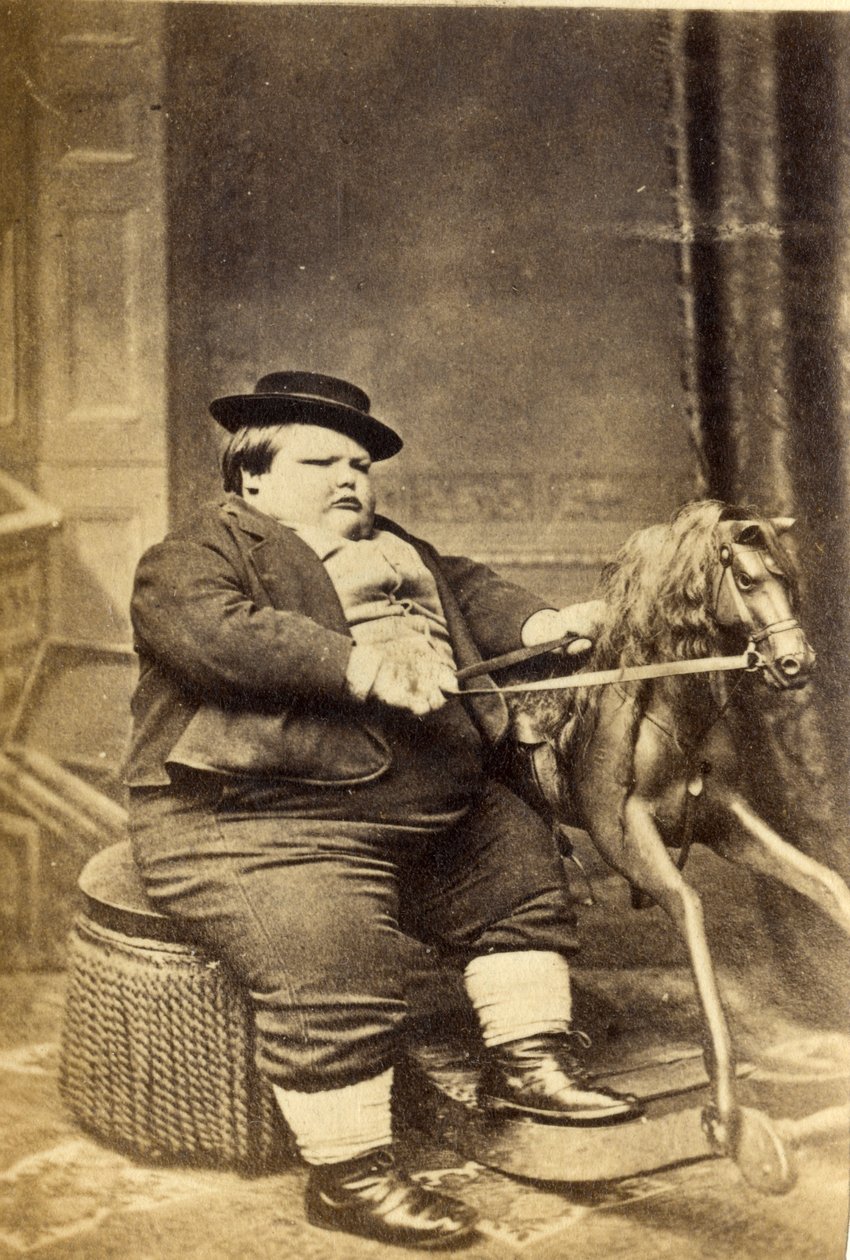 मास्टर रिचर्ड बेन्हम अपने रॉकिंग घोड़े द्वारा, 1870 (एल्बम प्रिंट) द्वारा अंग्रेजी फोटोग्राफर