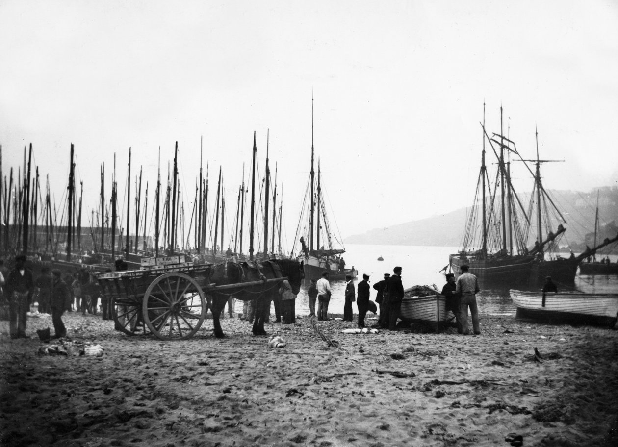 सेंट Ives हार्बर लुकिंग टुवर्ड्स कार्बिस बे, c.1880-99 द्वारा अंग्रेजी फोटोग्राफर