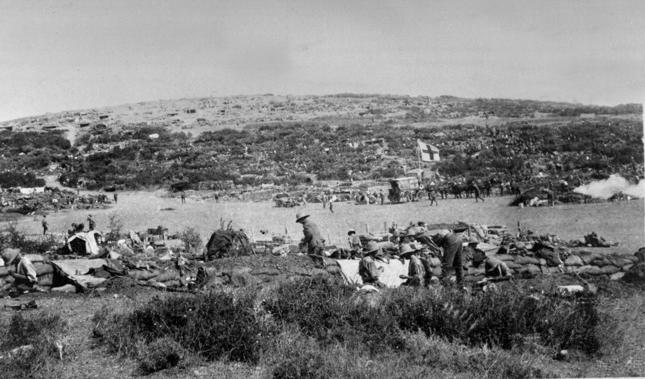 सुवला बे, चॉकलेट हिल पर गैलीपोली, c.1915 द्वारा अंग्रेजी फोटोग्राफर