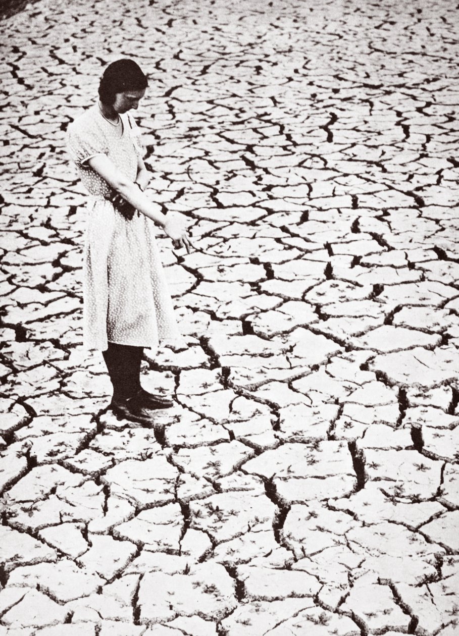 ट्रिंग जलाशय, हर्टफोर्डशायर, 1934 द्वारा अंग्रेजी फोटोग्राफर