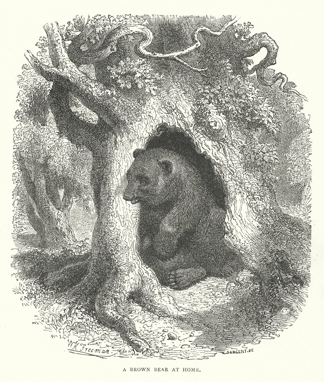  द्वारा अंग्रेजी स्कूल