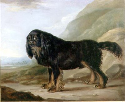 एक लैंडस्केप में एक किंग चार्ल्स स्पैनियल द्वारा अंग्रेजी स्कूल