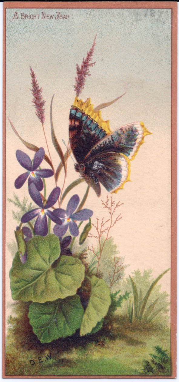 एक विक्टोरियन नव वर्ष कार्ड violets और एक तितली, c.1880 द्वारा अंग्रेजी स्कूल