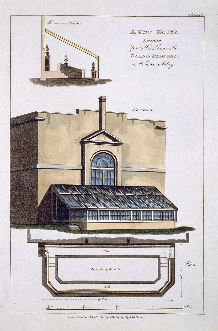 1806 में वोबर्न एबे में उनके ग्रेस द ड्यूक ऑफ बेडफोर्ड के लिए एक हॉट-हाउस निष्पादित किया गया द्वारा अंग्रेजी स्कूल