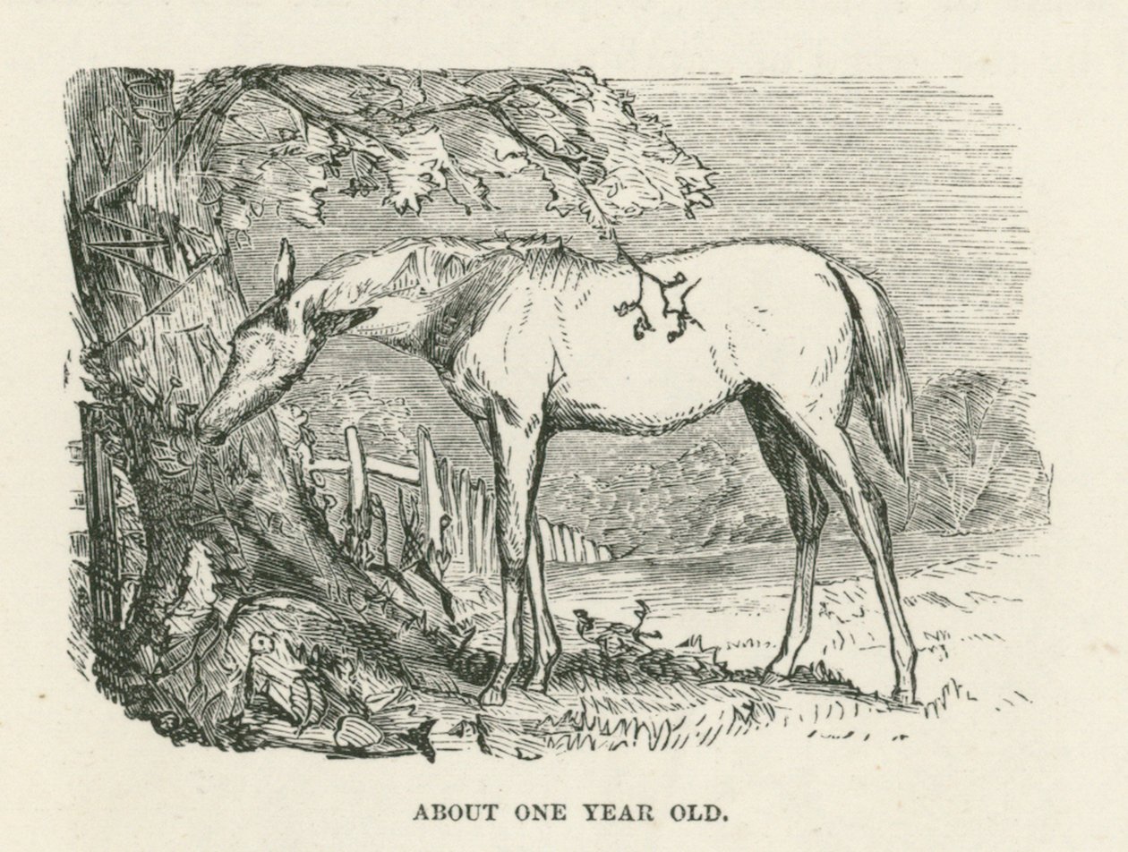  द्वारा अंग्रेजी स्कूल