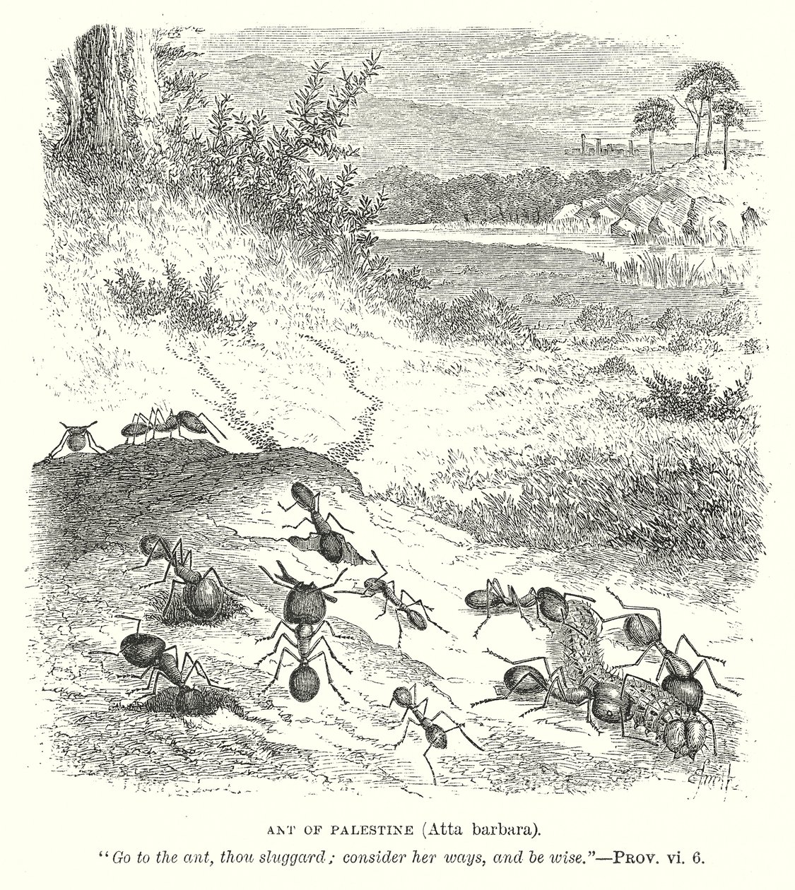  द्वारा अंग्रेजी स्कूल