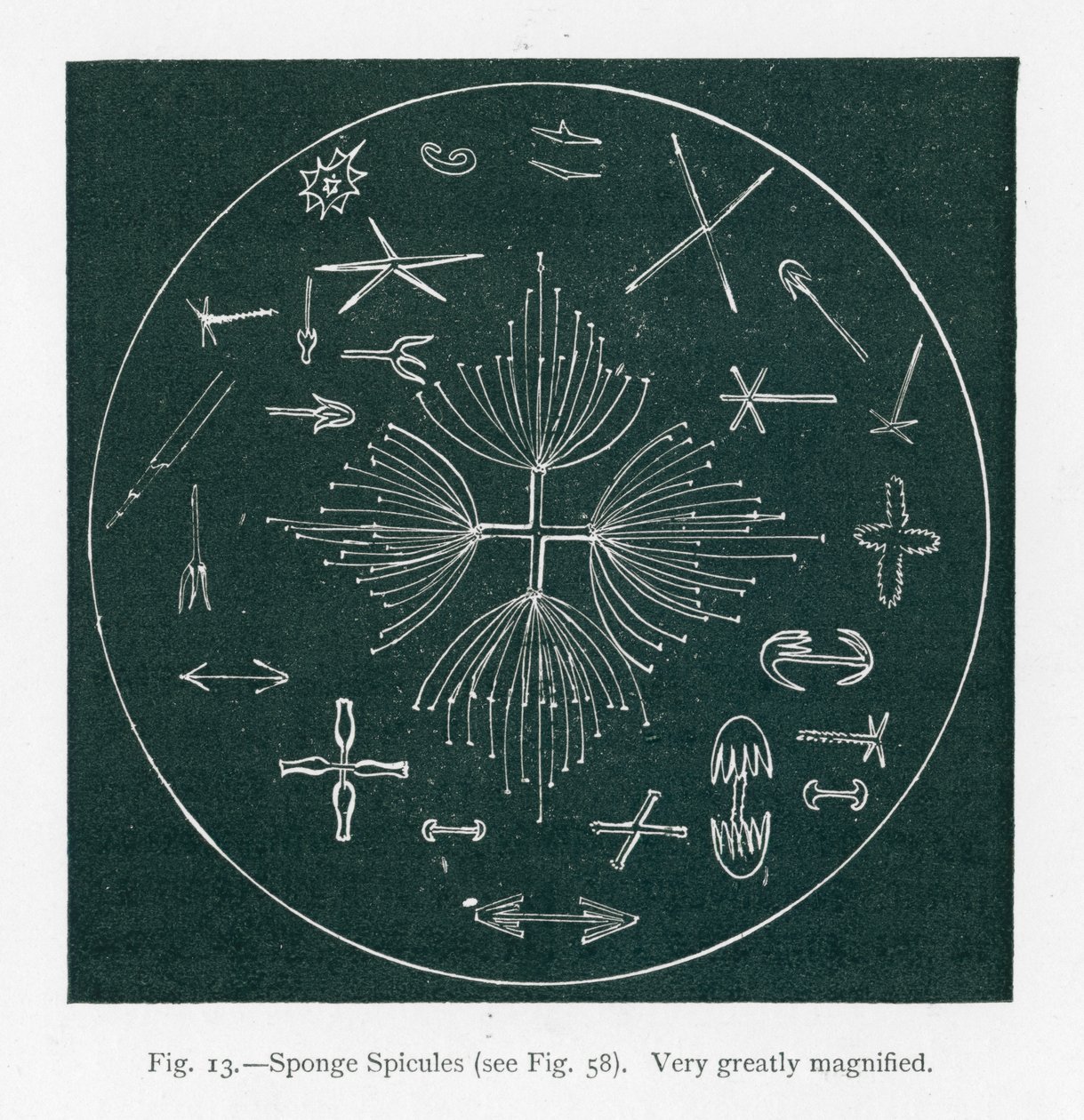  द्वारा अंग्रेजी स्कूल