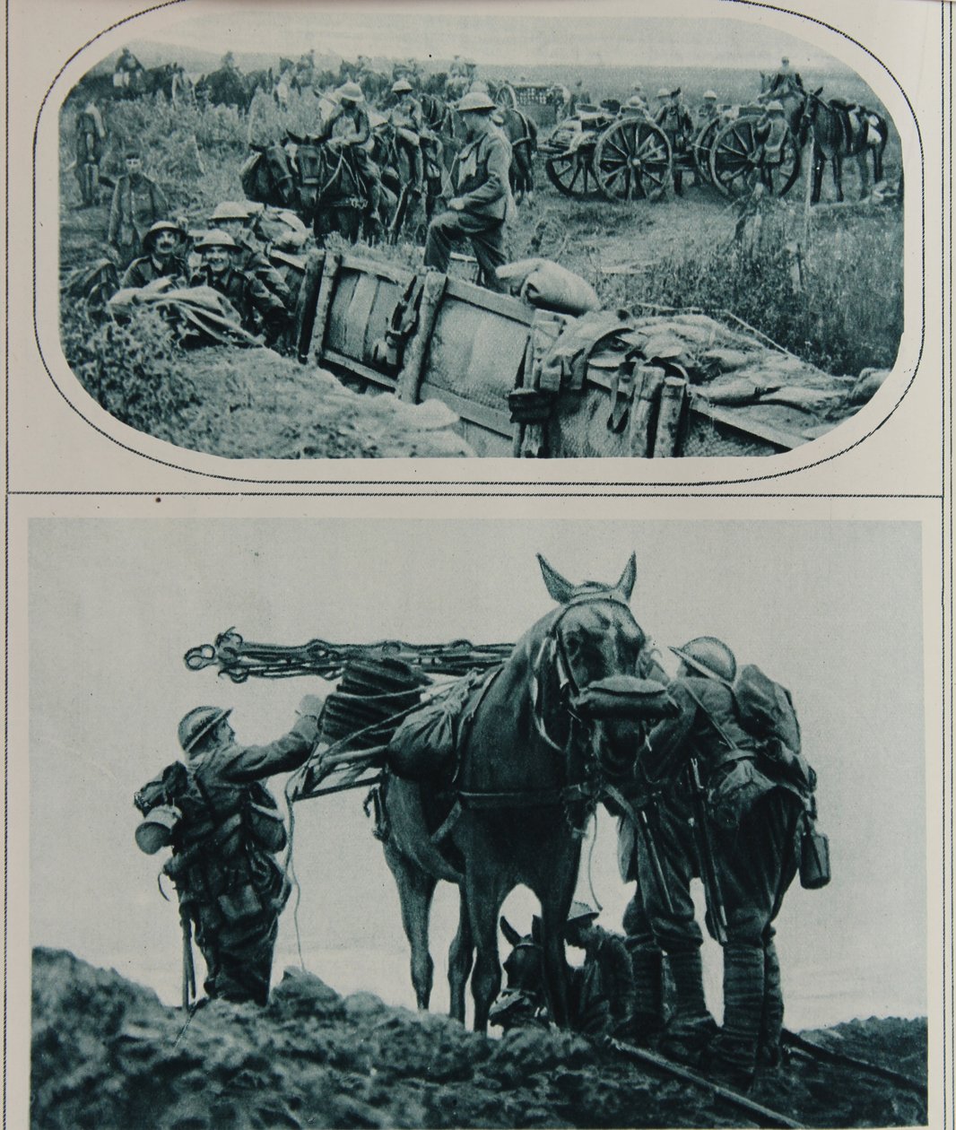 पैकहॉर्स के साथ ब्रिटिश गनर, फ्लैंडर्स, अगस्त 1917 द्वारा अंग्रेजी स्कूल