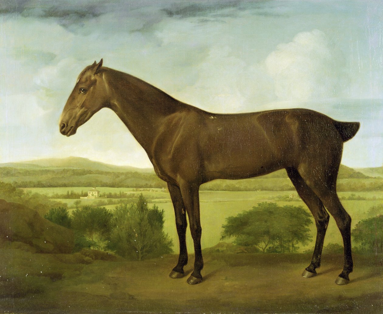 एक पहाड़ी लैंडस्केप में ब्राउन हॉर्स, c.1780-1800 द्वारा अंग्रेजी स्कूल