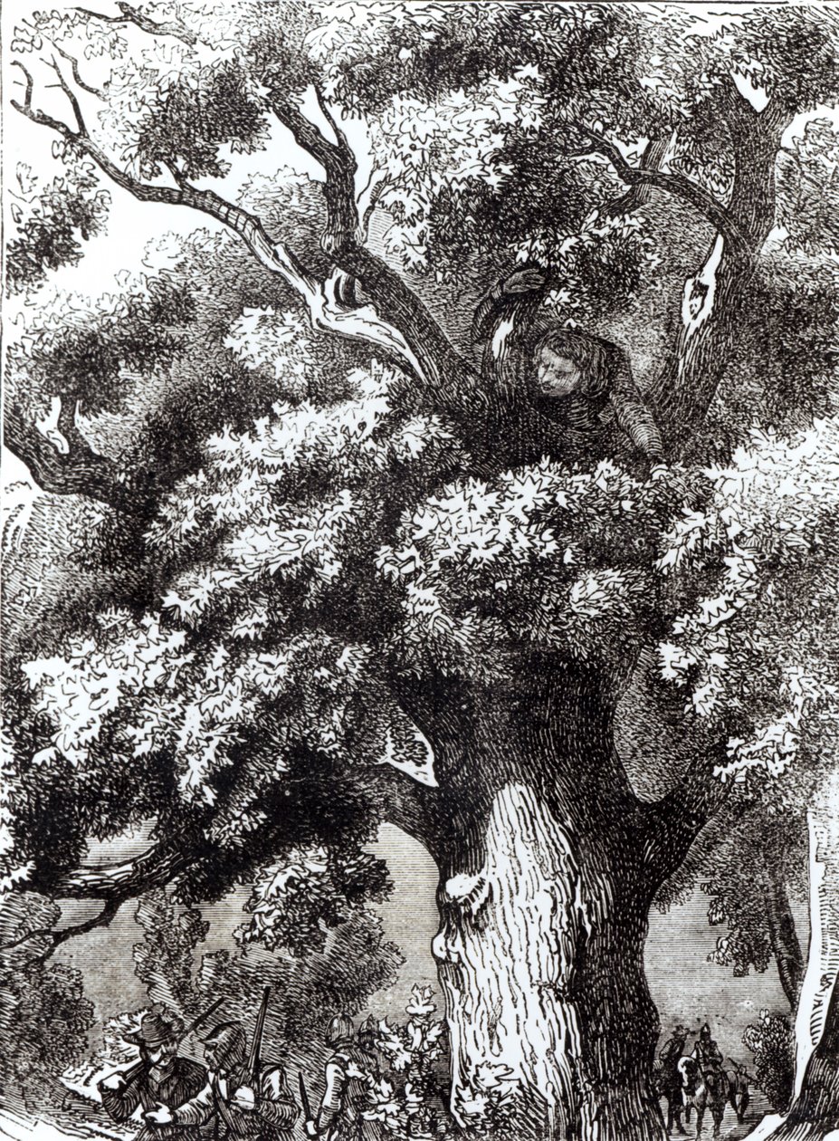 चार्ल्स द्वितीय (1630-85) ओक ट्री में छिपा, 14 अक्टूबर 1651 द्वारा अंग्रेजी स्कूल