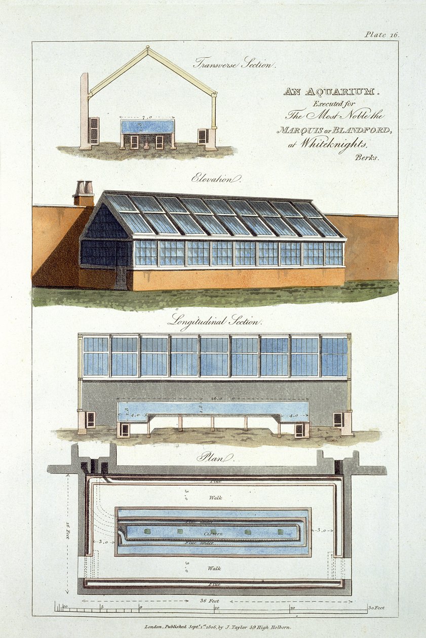 एक एक्वेरियम के लिए डिज़ाइन, 1806 में व्हाइटकन्ट्स में द मार्क्विस ऑफ़ ब्लैंडफ़ोर्ड के लिए निष्पादित द्वारा अंग्रेजी स्कूल