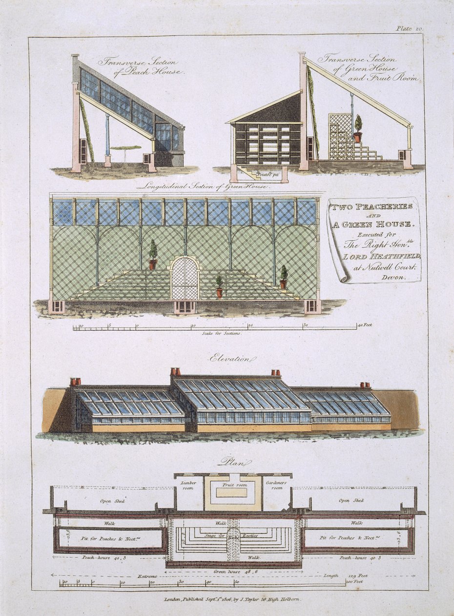 दो आड़ू और एक ग्रीन हाउस के लिए डिजाइन, 1806 द्वारा अंग्रेजी स्कूल
