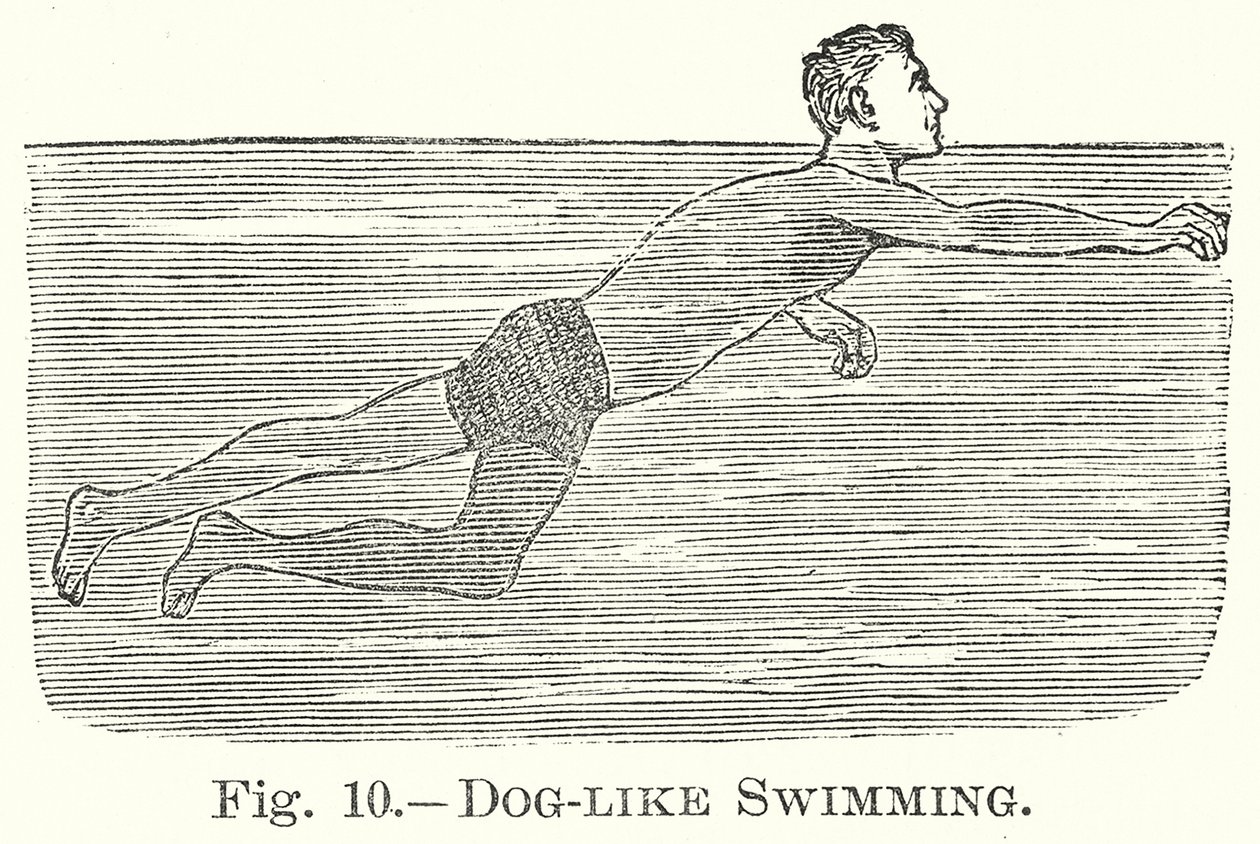  द्वारा अंग्रेजी स्कूल