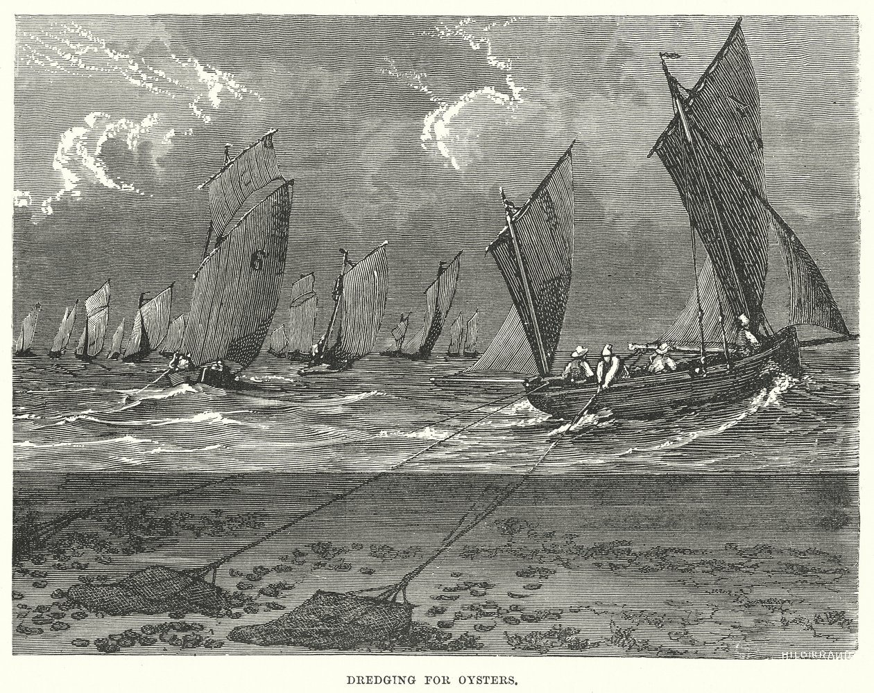  द्वारा अंग्रेजी स्कूल