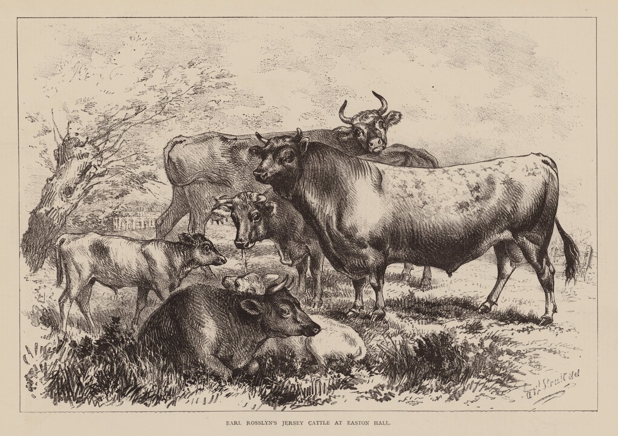  द्वारा अंग्रेजी स्कूल