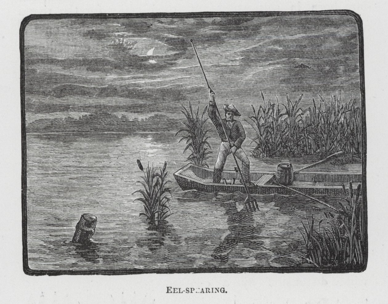  द्वारा अंग्रेजी स्कूल