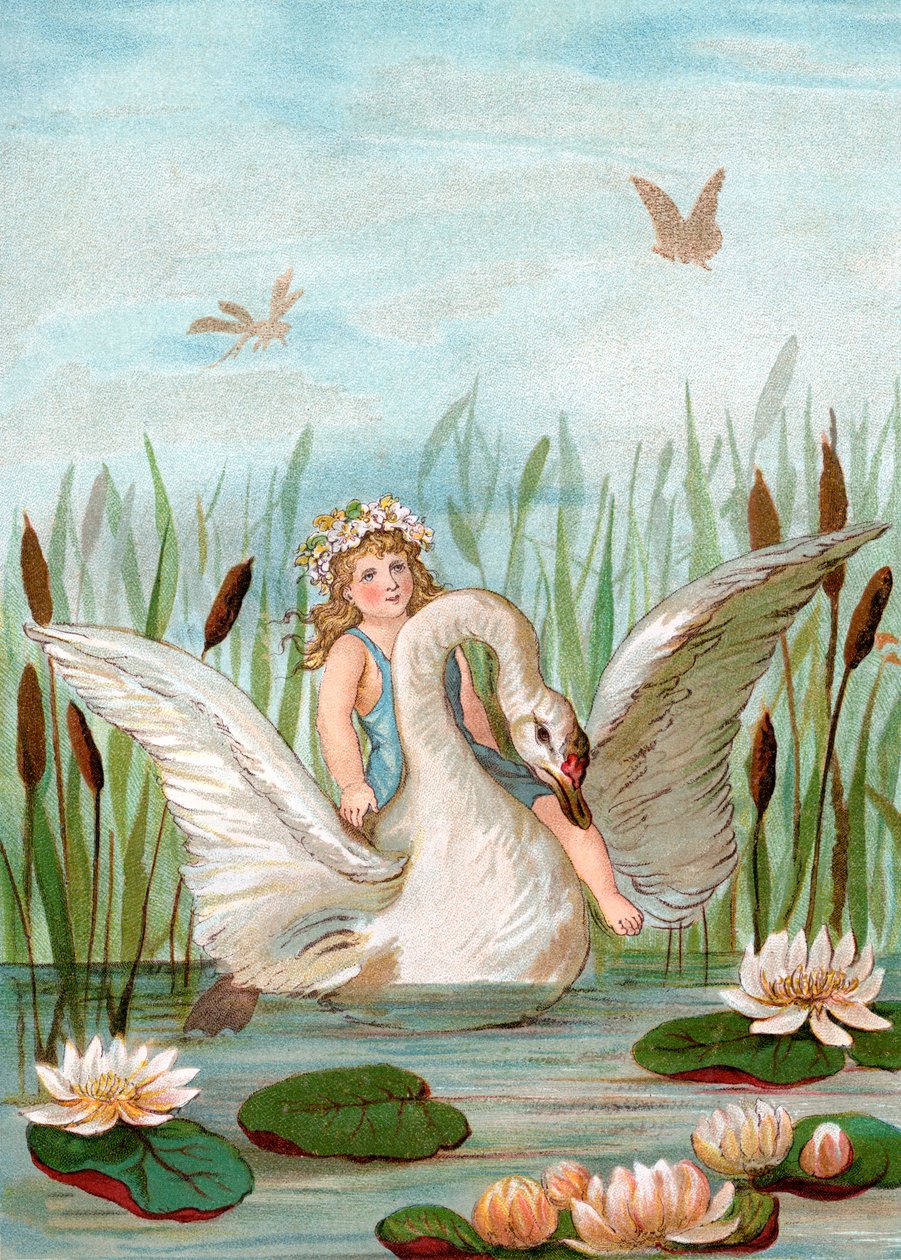 Cattails और Lilypads . के बीच एक सफेद हंस की सवारी परी द्वारा अंग्रेजी स्कूल