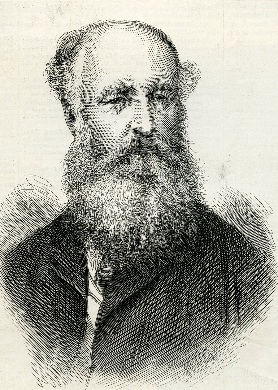 इलस्ट्रेटेड लंदन समाचार से फ्रेडरिक एरो (d.1875) 31 जुलाई, 1875 द्वारा अंग्रेजी स्कूल